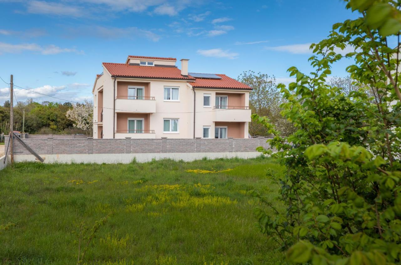 Apartman Knezevic A 파자나 외부 사진